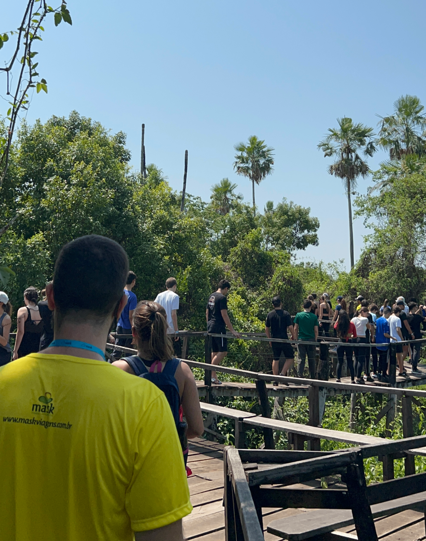 Grupo de estudantes atravessando passarela de madeira em área de mata